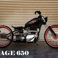 SAVAGE 650